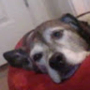 Meet your Posher, Eva